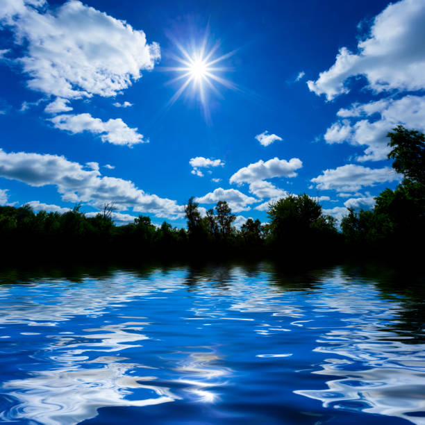 forest silhouette reflected in water at sunny day