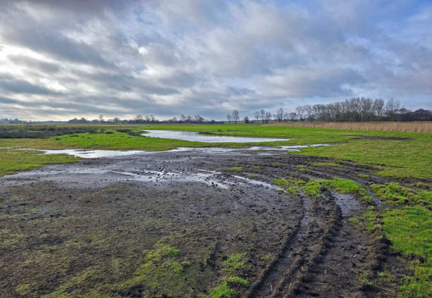 istock view over muddy pasture in winter 1980282674