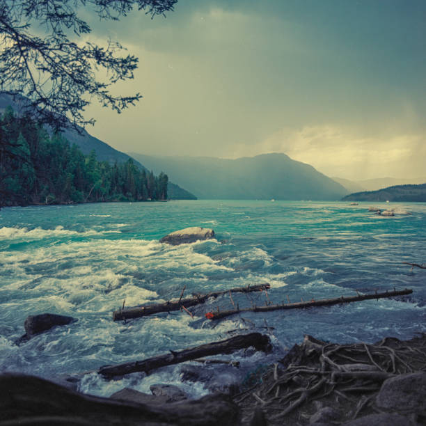 This image depicts a dynamic and picturesque landscape. In the foreground, we can see a rough and rocky shoreline with several large, dark-colored logs strewn across it. These logs, along with a collection of driftwood and branches, suggest this might be a riverbank or a lakeshore where natural debris has gathered.The water is tumultuous, with white rapids indicating a strong current or perhaps the presence of a river flowing into a larger body of water. A large, solitary rock emerges from the water close to the shore, and several smaller rocks are visible further out in the distance.The background is dominated by a series of majestic mountains that recede into the distance, creating layers of blue and green hues under a heavy, overcast sky. The mountains are partially shrouded in mist or low-hanging clouds, which contributes to the overall serene yet somber atmosphere of the scene.The lighting is soft, suggesting either an early morning or late evening, with the possibility of an impending storm due to the darkness of the sky and the overall muted tones of the scene. The color palette is primarily cool, with blues and greens dominating, punctuated by the white of the rapids and the darker colors of the wood and rocks.Shot on Hasselblad 500c/m