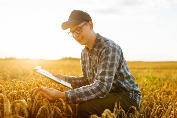 istock Farmer in a wheat field checking crop. 1980316242
