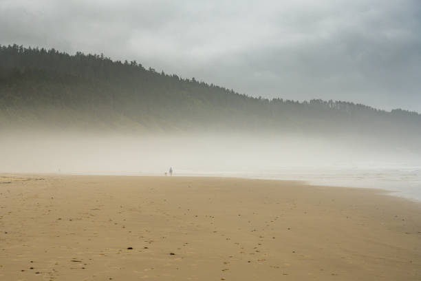 istock Foggy Layers Settles Over Oregon Beach 1980316794