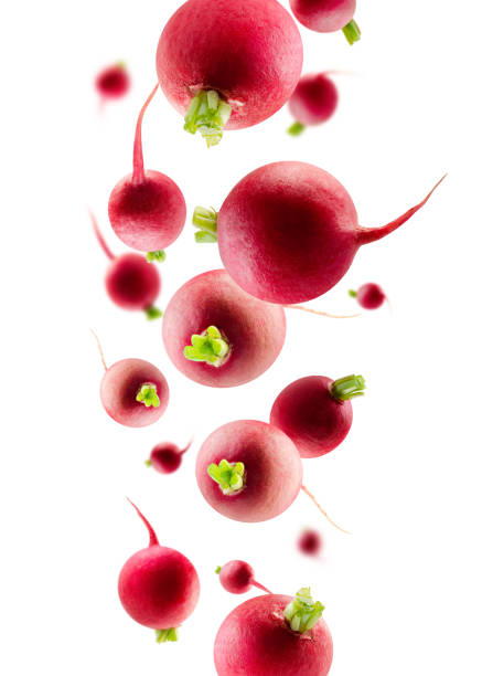 istock Radishes fall in space . Volumetric back light.   Isolated on white 1980317643