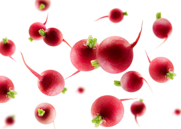 istock Radish flies and levitates in space. Volumetric back light. Isolated on white 1980317734