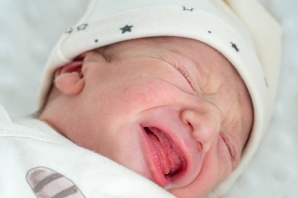 istock Newborn baby crying 1980318116