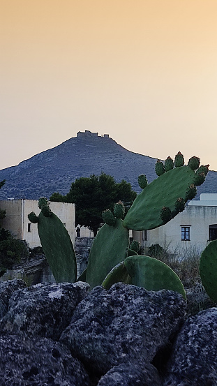 Santa Caterina Castle in Favignana in the background and prickly pears in the foreground. The castle was born as a watchtower, built by the Saracens in 810 BC and today it is in a state of abandonment.