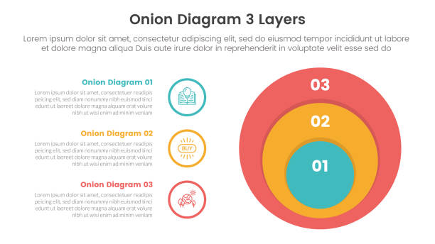 Onion Chart Example 30+ Onion Layers Infographic Stock Illustrations, Royalty-Free Vector ...