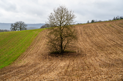 Winter day in a rural area in Northern France