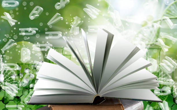 istock An open book symbolizing the source of knowledge. A book lying on a stack of books. 1980369904
