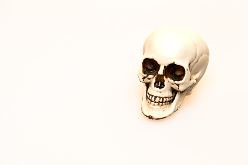 plastic skull top view on white background with copy space, death or danger concept