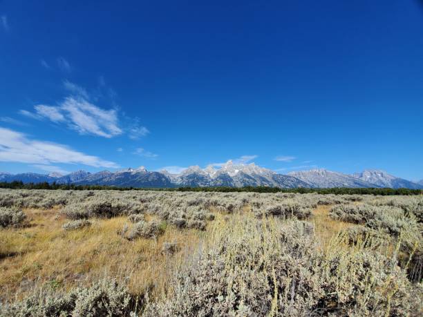 istock Open fields looking upon the Grand Teton mountains 1980415130