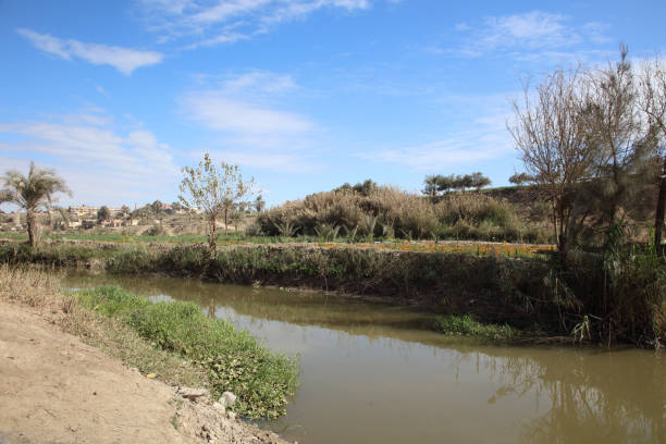 istock The Stream and Plantations in a village 1980424629