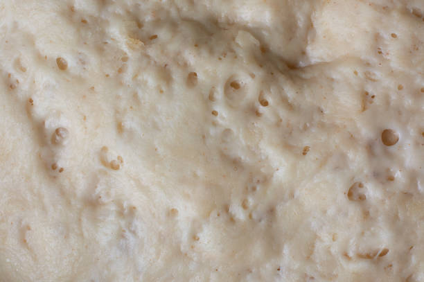 istock close-up of rising dough surface for baking 1980425661
