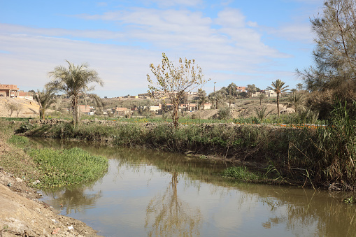 Stream and Plantations in a Village