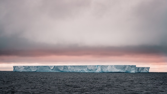 Gigantic large and wide Tabular Iceberg drifting on the Antarctic Ocean under colorful moody pink sunset skyscape. Antarctica Ocean - Antarctica Sound, Antarctica.