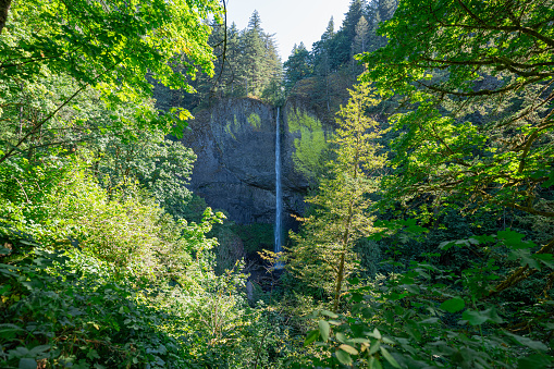 A scenic view of Latourell Falls which is along the Columbia River Gorge in Oregon.