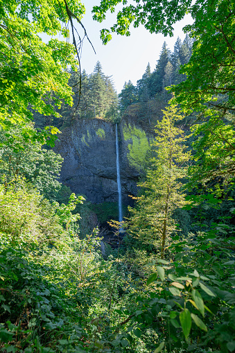 A scenic view of Latourell Falls which is along the Columbia River Gorge in Oregon.