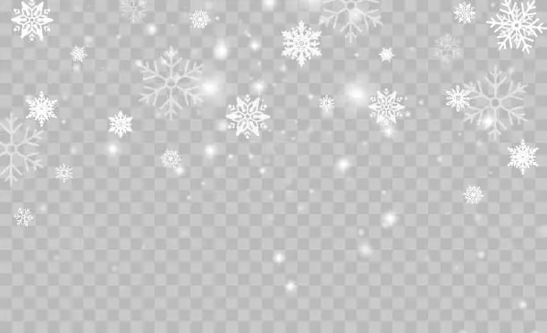 Vector illustration of Shining bokeh isolated on transparent background. Christmas concept