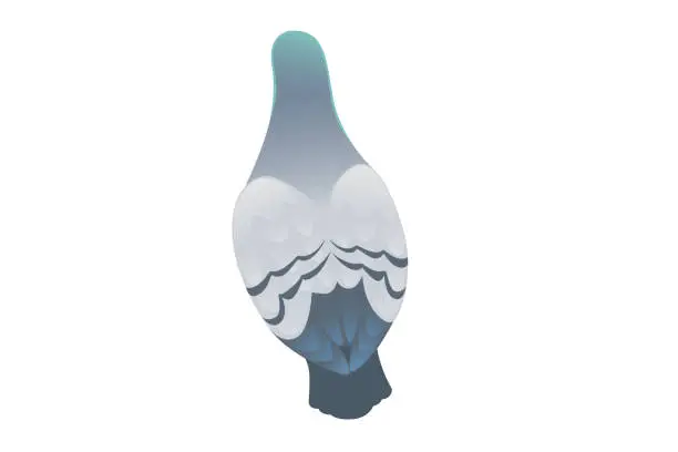 Vector illustration of Gray pigeon with green head standing on ground city dove bird vector illustration cartoon animal design