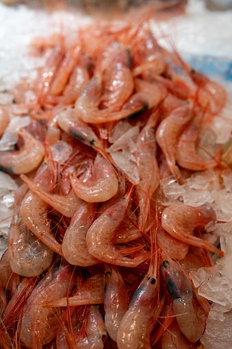 detail of fresh shrimp on ice