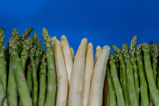 wild asparagus and mixed white asparagus