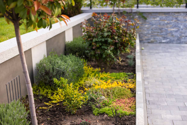 istock Front yard of a Modern House 1980566975