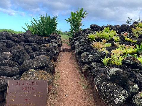 Tourist hiking  near Hana, Maui.