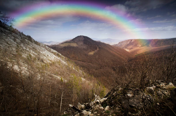 creative nature photography
