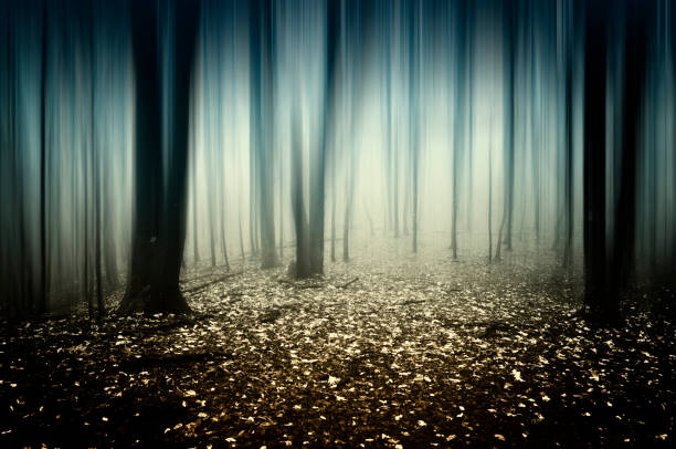 creative nature photography