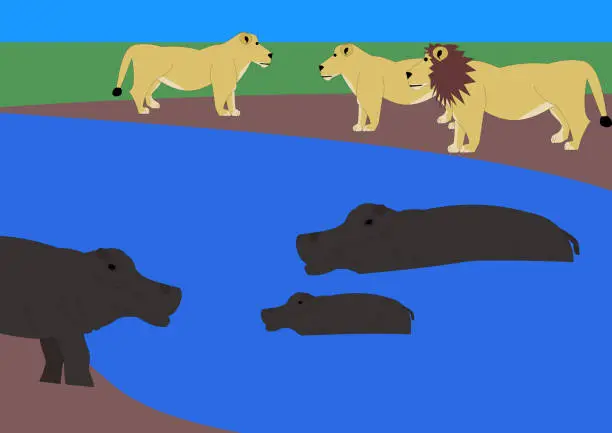 Vector illustration of Hippoos at and in river observed by lions