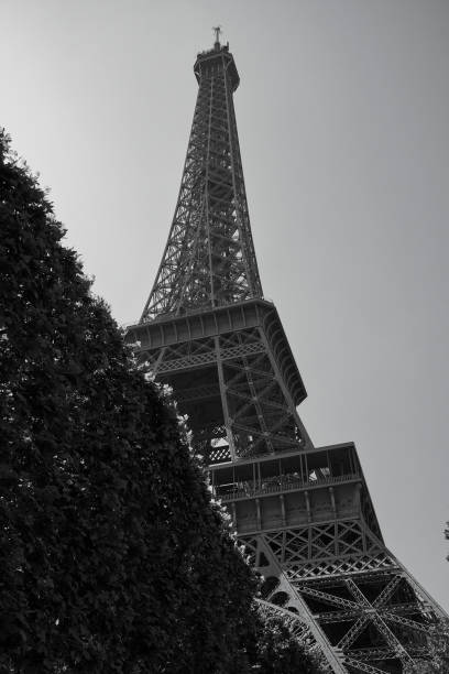 Toué Eiffel et petite tour , noir et blanc, arbres