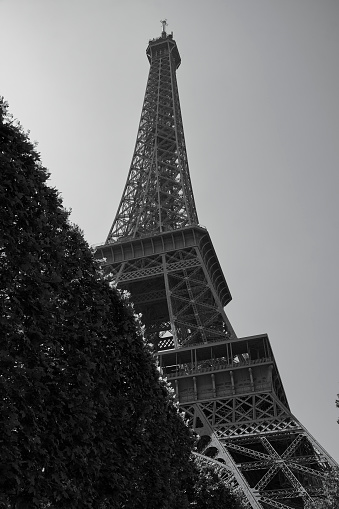 Black and white photograph showcasing the iconic Eiffel Tower
