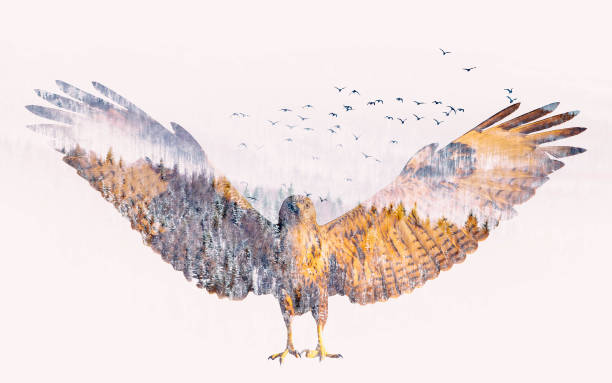 istock Wings. Nature photograph created with double exposure technique. 1980718624