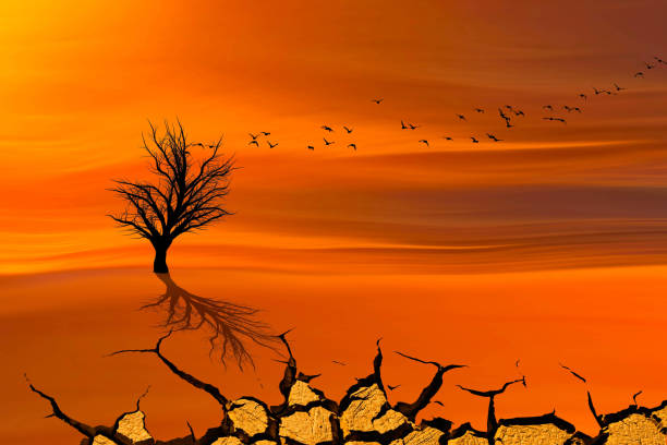 A drought themed scene. Arid and desertifying world.