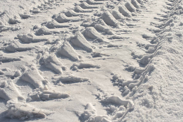 Tire tracks on the road covered with snow.