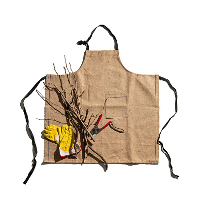 apron, yellow gardening gloves, pruning shears and cut branches isolated on white. gardener's kit