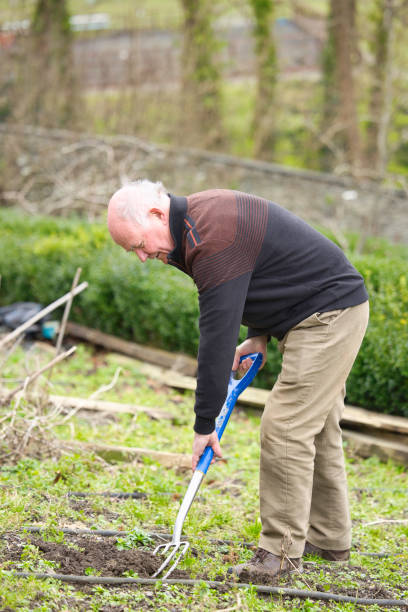 istock Elderly man in his gardening clothes beginning weeding 1980822946