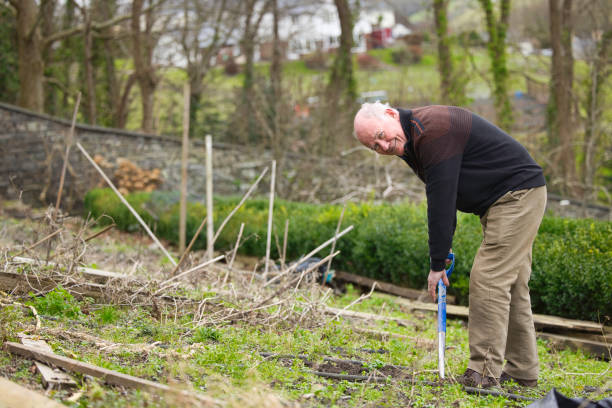 istock Elderly man in his gardening clothes beginning weeding 1980825575