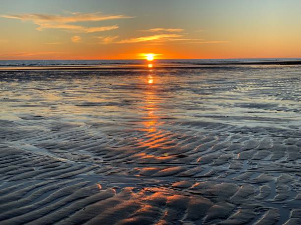 istock Sunsets and Sunrises in Sonora Mexico 1980866954
