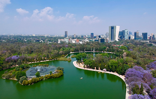 Aerial view of Jacaranda Trees and a lake during spring against sky