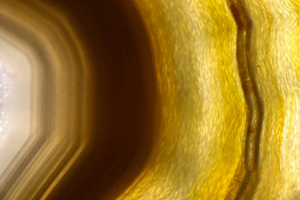 abstract background from a natural stone with a pattern of lines and colors.