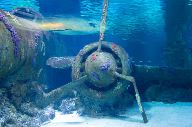 istock Airplane underwater in the aquarium. 1980880434