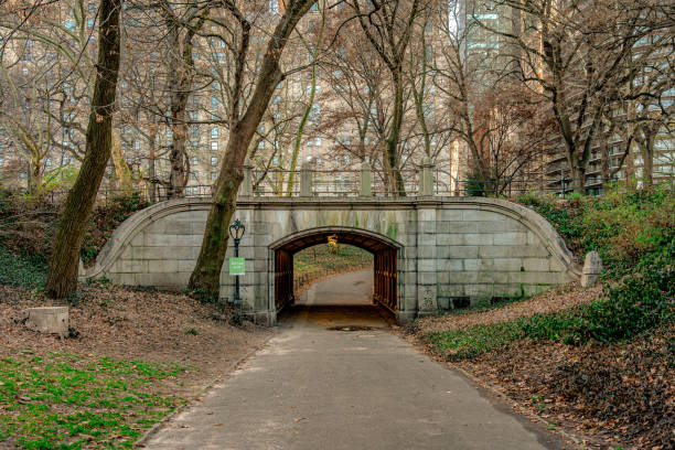 Central Park, Streets, Building, Brooklyn Bridge and more
