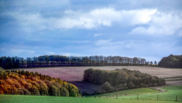 istock Green and red trees fill a vast field, with an expansive open field stretching beyond 1980897734