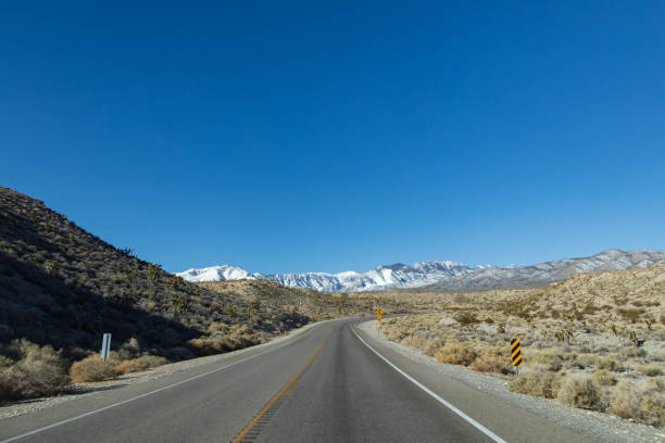 istock Road through Mount Charleston Wilderness area 1980906558