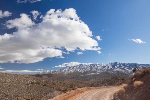 istock Desert landscape in Nevada 1980907594