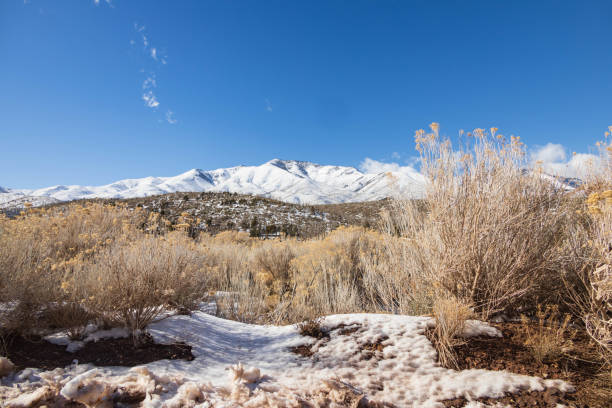 Mount Charleston wilderness area in wintertime with snow on far away peeks