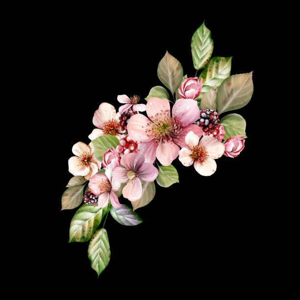 ilustrações, clipart, desenhos animados e ícones de watercolor festive bouquet of beautiful flowers and fruity blackberries with green leaves. - healthy eating summer berry branch