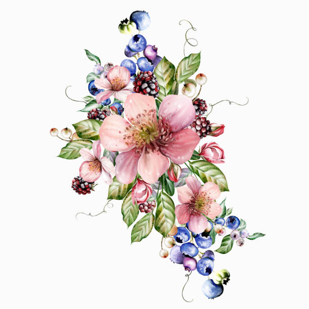 ilustrações, clipart, desenhos animados e ícones de watercolor festive bouquet of beautiful flowers and fruity blackberries with green leaves. - healthy eating summer berry branch