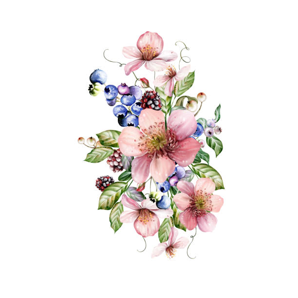 ilustrações, clipart, desenhos animados e ícones de buquê festivo de aquarela de belas flores e amoras frutadas com folhas verdes. - healthy eating summer berry branch