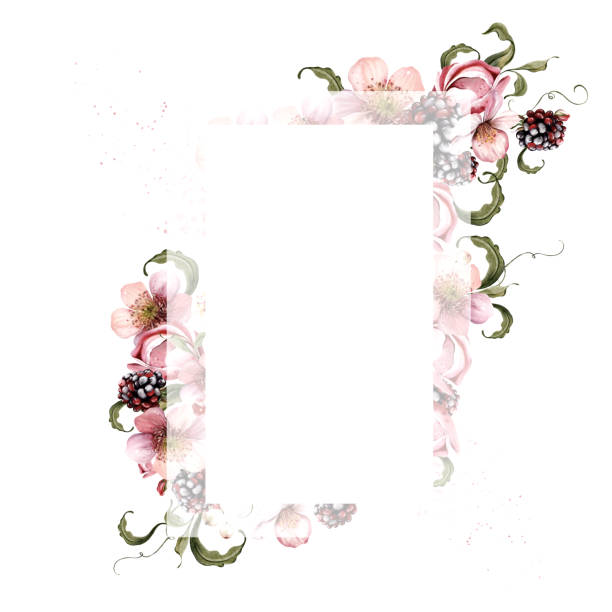 ilustrações, clipart, desenhos animados e ícones de watercolor festive invitation frame made of flowers and fruit berries with green leaves. - healthy eating summer berry branch